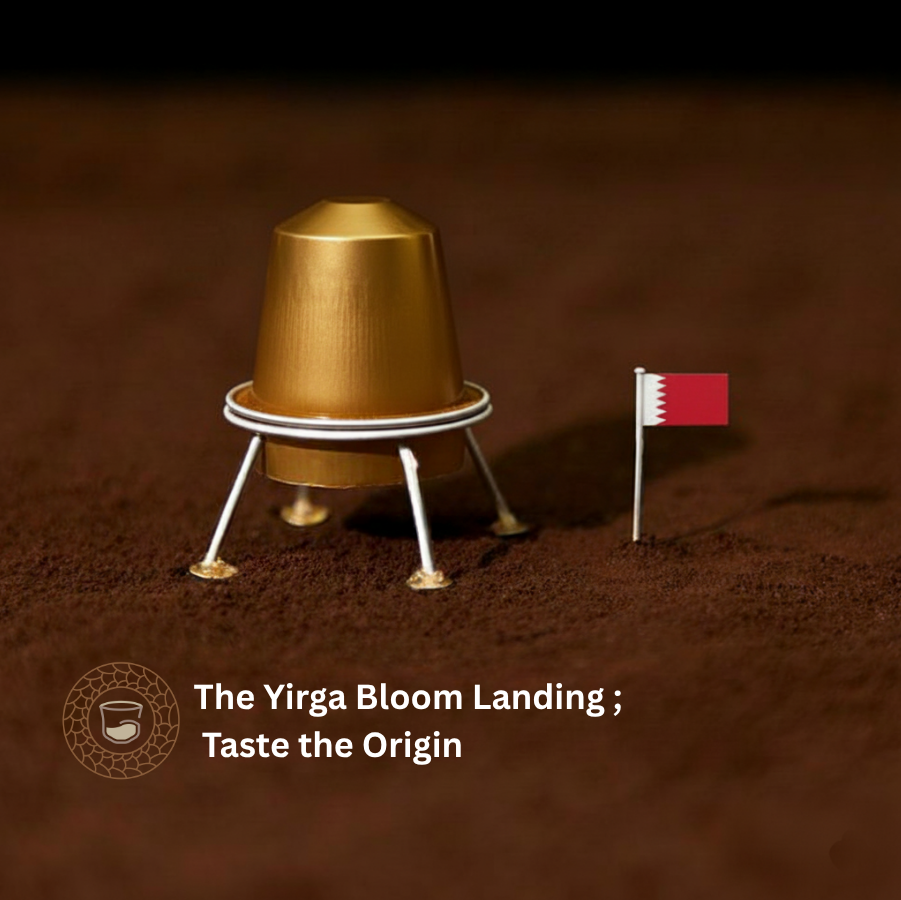 Gahwa.co - Yirga Bloom| Ethiopian Single Origin | Intensity 6 - Image 2