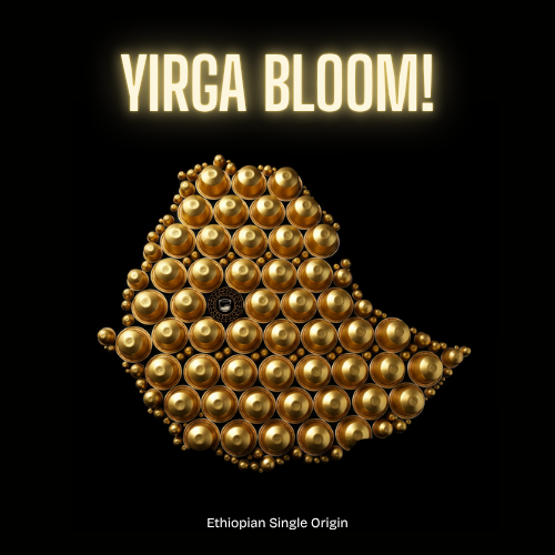 Gahwa.co - Yirga Bloom| Ethiopian Single Origin | Intensity 6 - Image 3